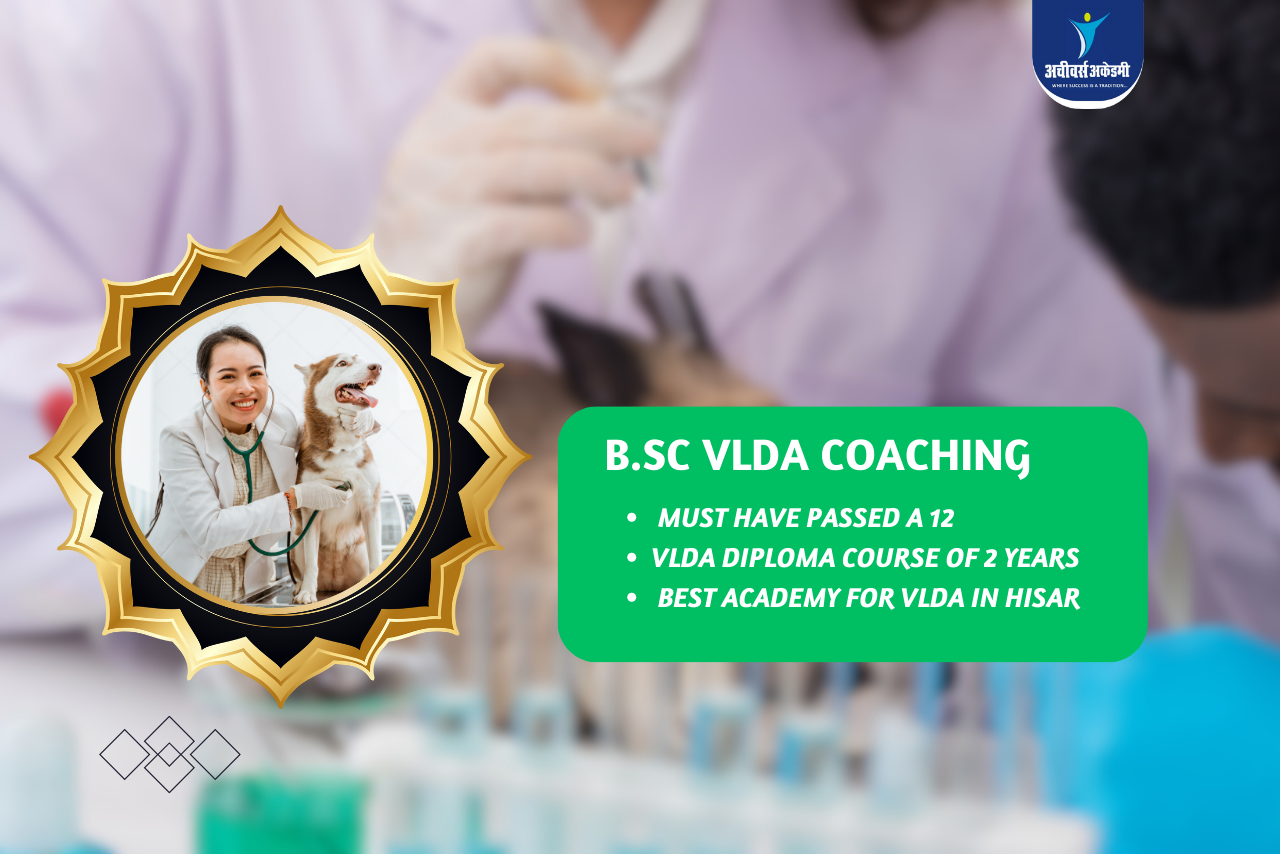 Best Vlda coaching in hisar